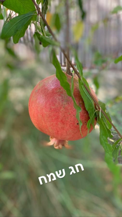 Habait Ba Shomera Ngoại thất bức ảnh